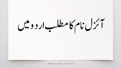 Anaya Name Meaning in Urdu - Name Meaning In Urdu