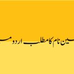 Ameen (امین) Name Meaning in Urdu